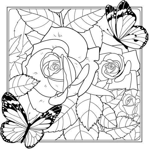 Roses and Butterflies