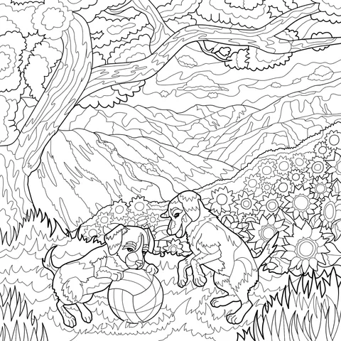 Two Dogs Playing in the Field