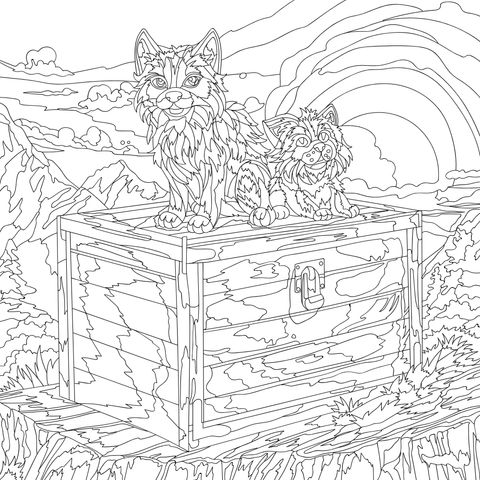 宝箱上的两只猫