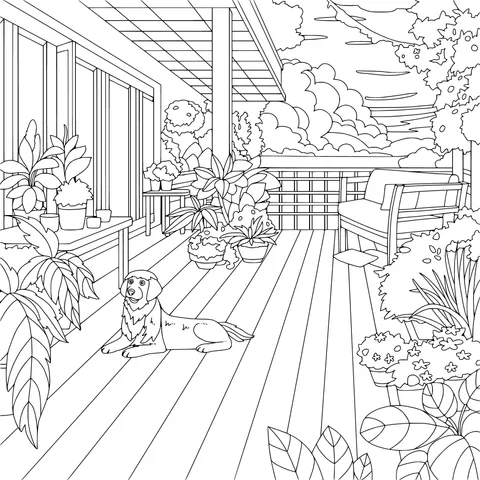 A Cozy Terrace and a Dog under the Sunset