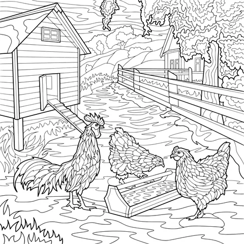 Chickens on the Farm