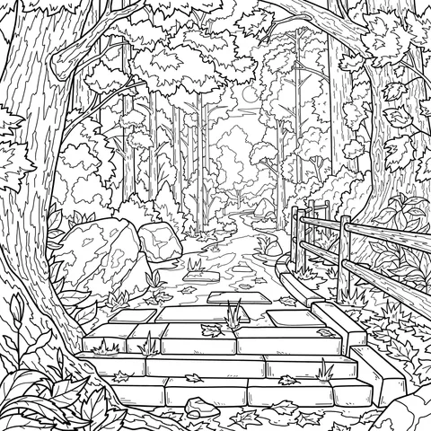 Quiet Forest Path