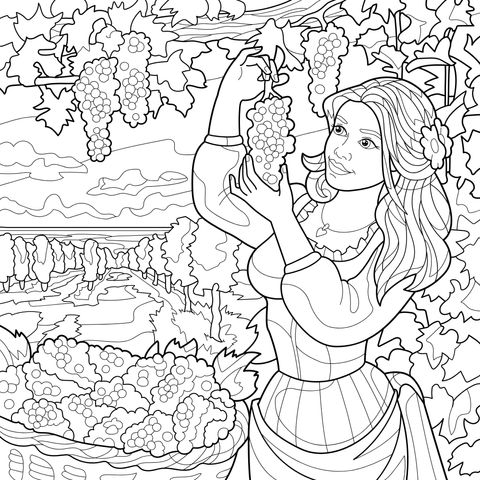 Coloring Page of a Woman Picking Grapes