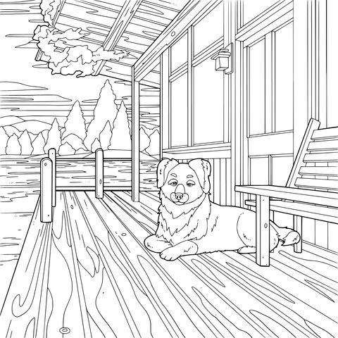 湖畔木屋前的悠闲狗狗
