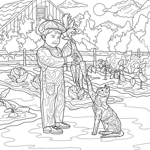 男孩与猫在菜园的互动
