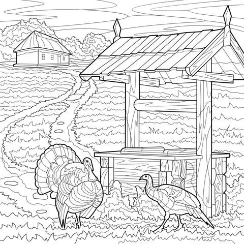 农场景观与火鸡