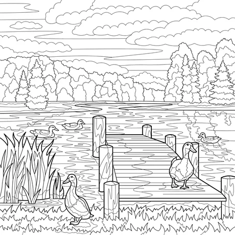 Ducks on the wooden pier by the lake