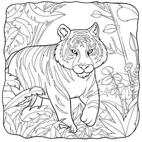 Tiger in the Jungle