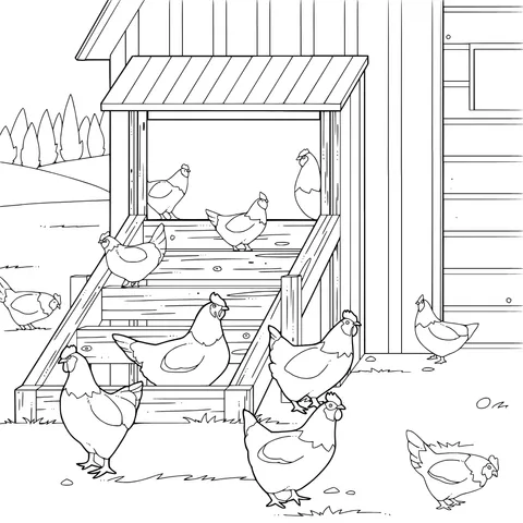 Chickens in front of the chicken coop