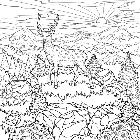 Stag in the Mountain Forest