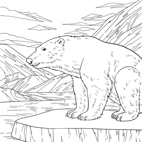 Polar Bear on the Ice