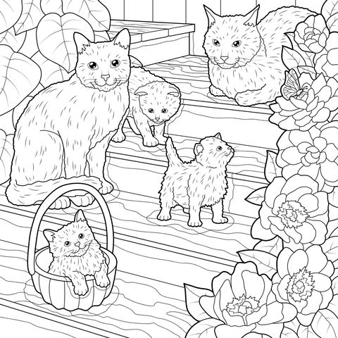 花丛旁台阶上的猫咪们