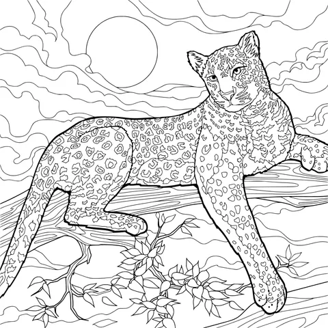 Leopard perching on a branch under the moonlight