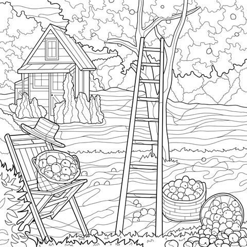 Apple - Picking Rural Scene Coloring Page