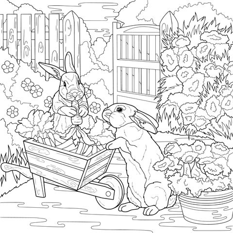 花园里的兔子与胡萝卜