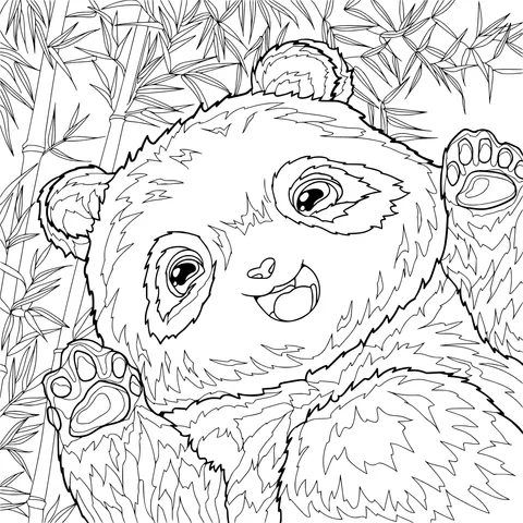 Cute Panda