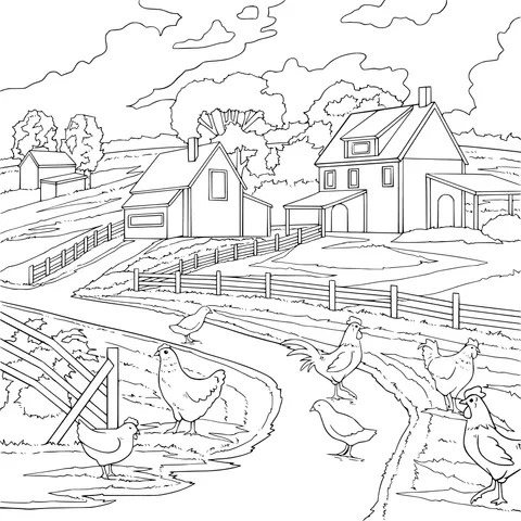 Rural Pasture and Flock of Chickens