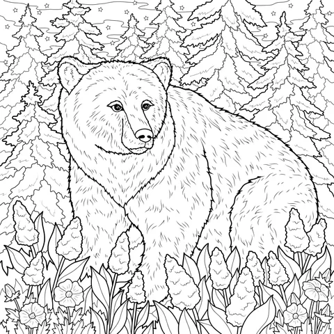 Brown Bear in the Forest