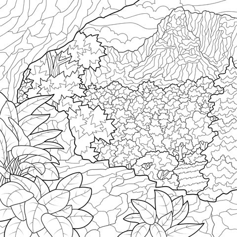 洞穴外的秋日山林景色