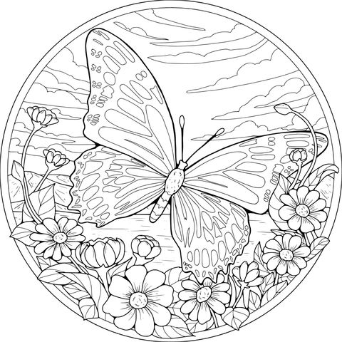 花间蝶影