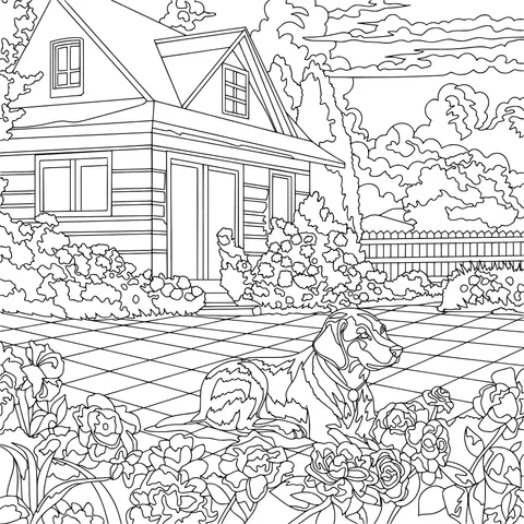 Dog Resting beside Flower - beds and Wooden House