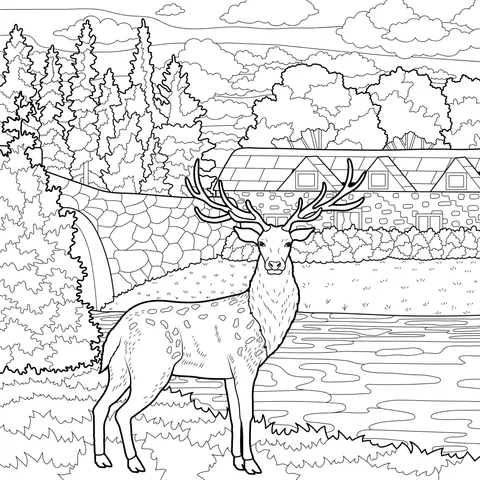 Stag by the Riverside and Rural Scenery