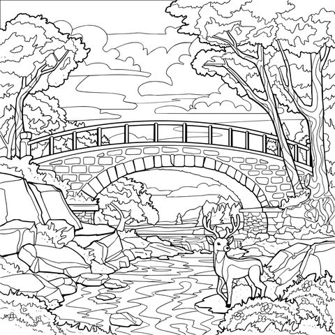 黄昏下的桥边鹿景