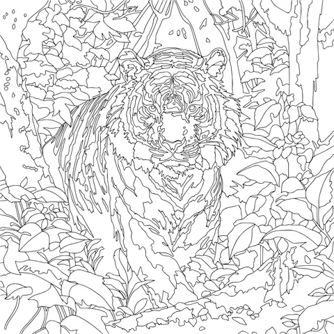 Tiger in the Forest