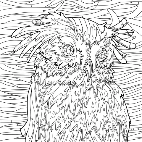 Painted Owl