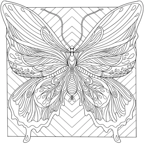 Colorful Patterned Butterfly