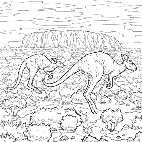 Kangaroos and Uluru Rock