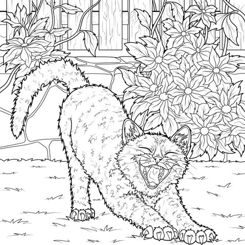 花丛边打哈欠的猫咪