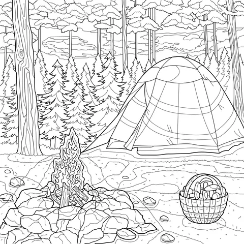 Camping scene in the forest