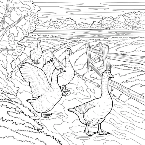 A Flock of Geese on a Country Path