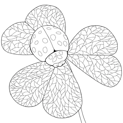 Ladybug on a Clover