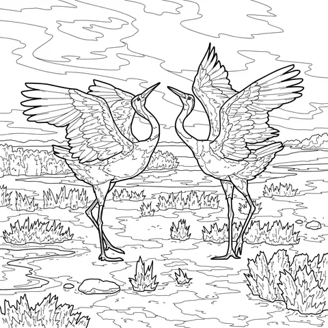 Dancing Red - Crowned Cranes