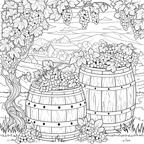 Barrels and Grapes in the Vineyard