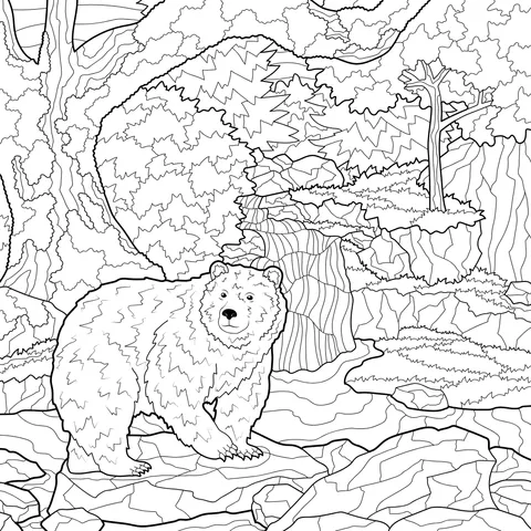 Brown Bear by the Forest Stream