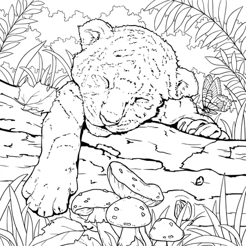 A resting little tiger in the forest