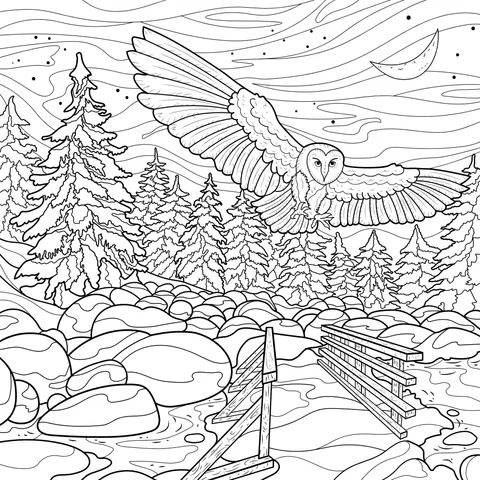 An Owl Flying in the Moon - lit Night