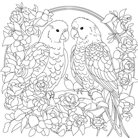 花丛中的双鹦鹉