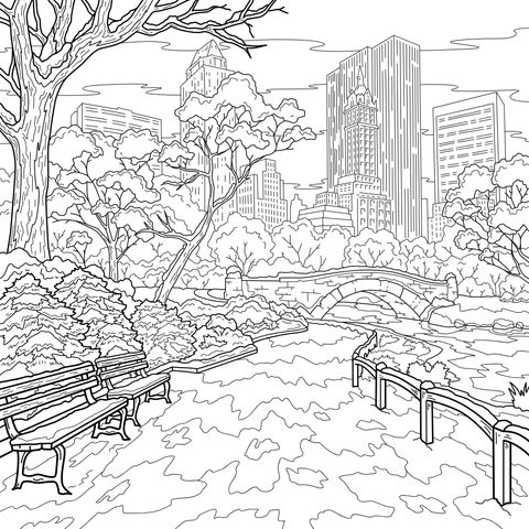 冬日城市公园景致