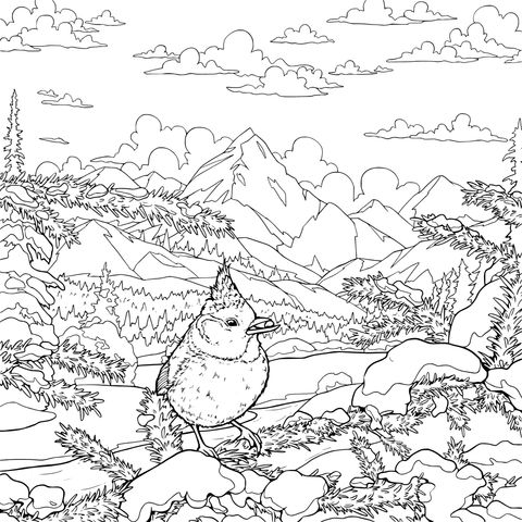 雪山中的小鸟