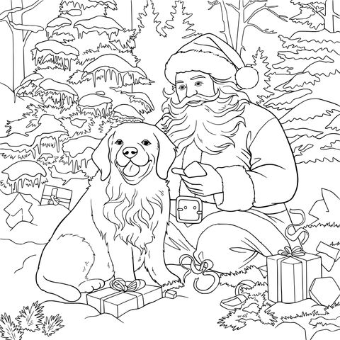 圣诞老人与金毛犬