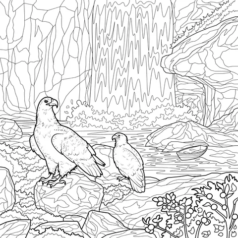 Two Eagles by the Waterfall