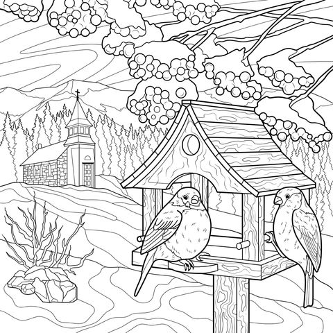 冬日鸟趣景致