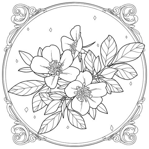 框中的粉花绿叶