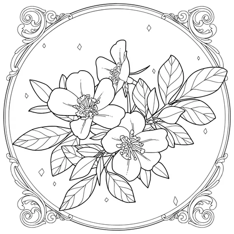 Pink flowers and green leaves in a frame