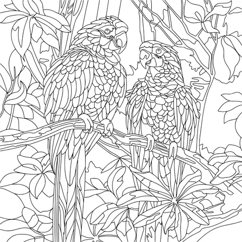 Colorful Parrots on the Branch