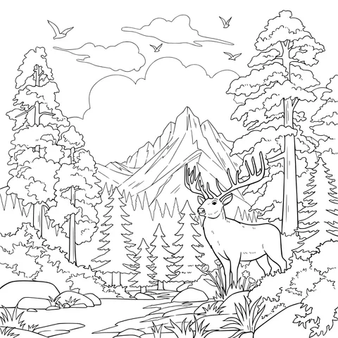 Deer in the Mountain Forest